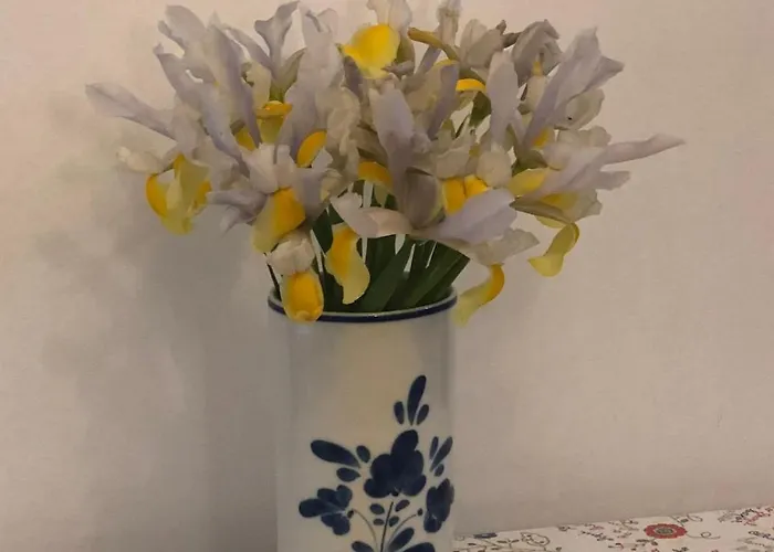 One-bedroom In The Center Apartamento Viana do Castelo